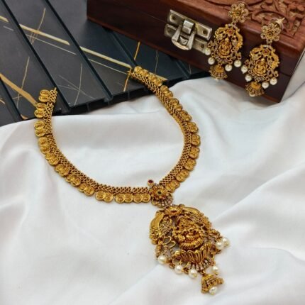 Lakshmi Coin Long Neck Set
