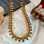 Fancy Lakshmi Coin Long Neck Set