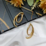 Fancy Earrings