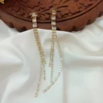 Fancy Earrings - Image 3